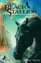 Load image into Gallery viewer, The Black Stallion CCQ Workbook (Reading Level T - 930L)