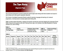Load image into Gallery viewer, The Tiger Rising CCQ Workbook (Reading Level T - 520L)